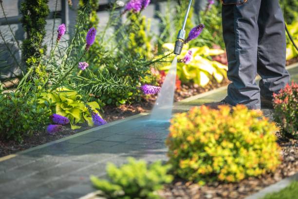 Best Driveway Cleaning and Restoration in Sleepy Hollow Lake, NY